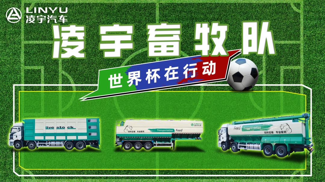 奪冠世界杯！你注意到這支球隊了嗎？
